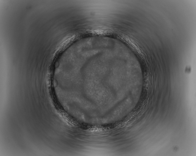 X0000099410738200805301345