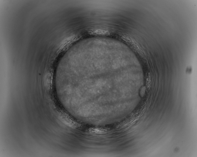 X0000099410739200805301345