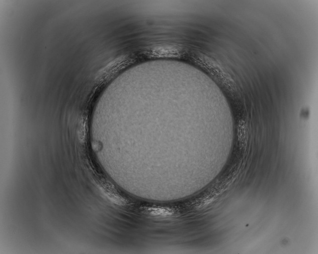 X0000099410741200805301345