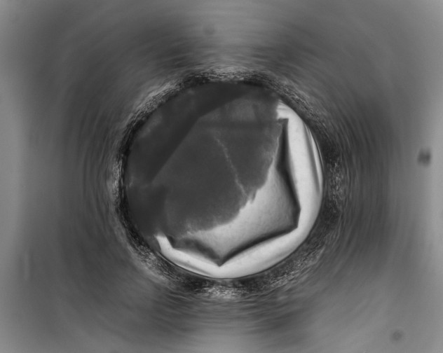 X0000099410742200805301345