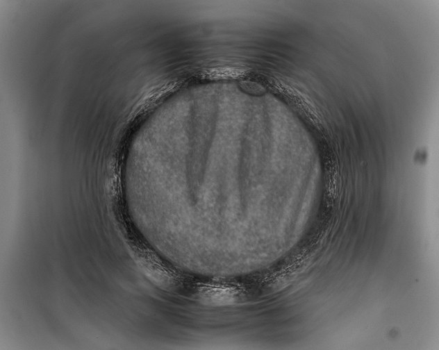 X0000099410743200805301345