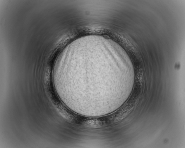 X0000099410744200805301345