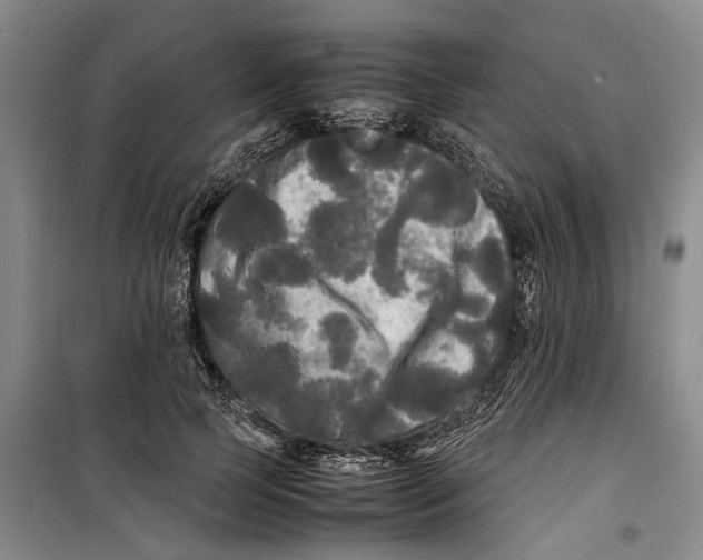 X0000099410745200805301345