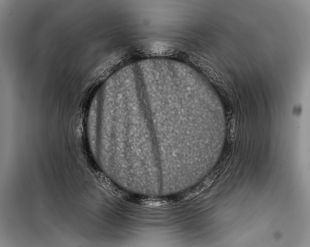 X0000099410746200805301345