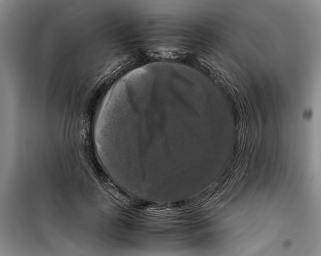 X0000099410747200805301345