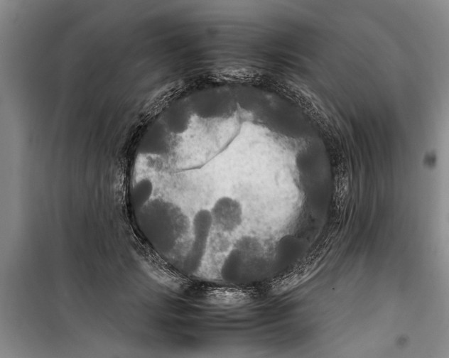 X0000099410749200805301345