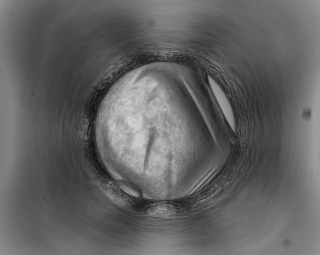 X0000099410750200805301345