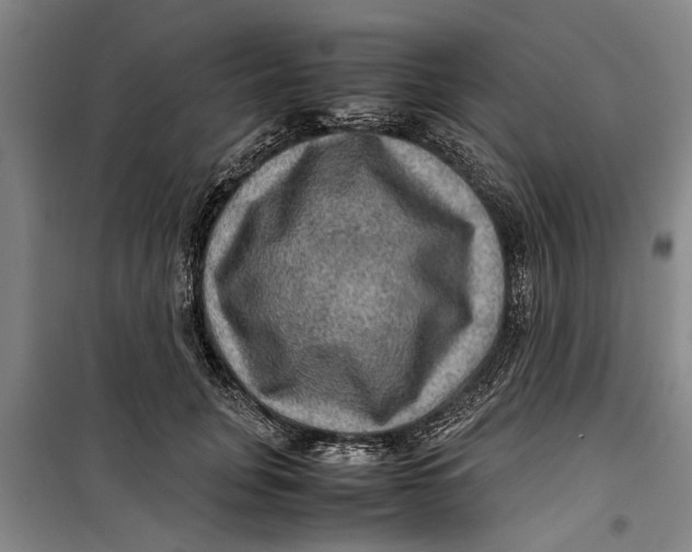 X0000099410751200805301345