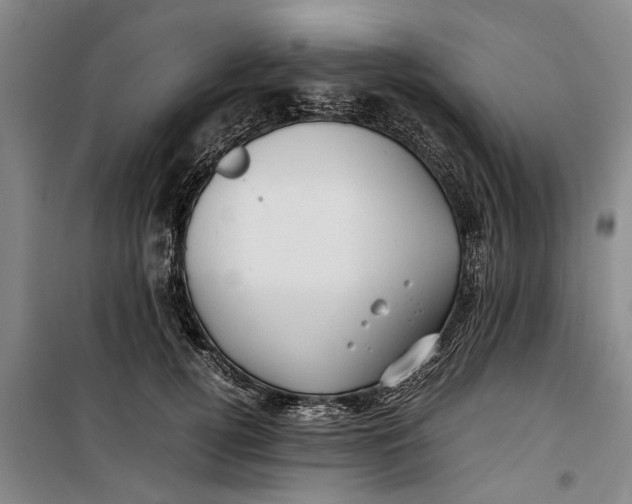 X0000099410752200805301345