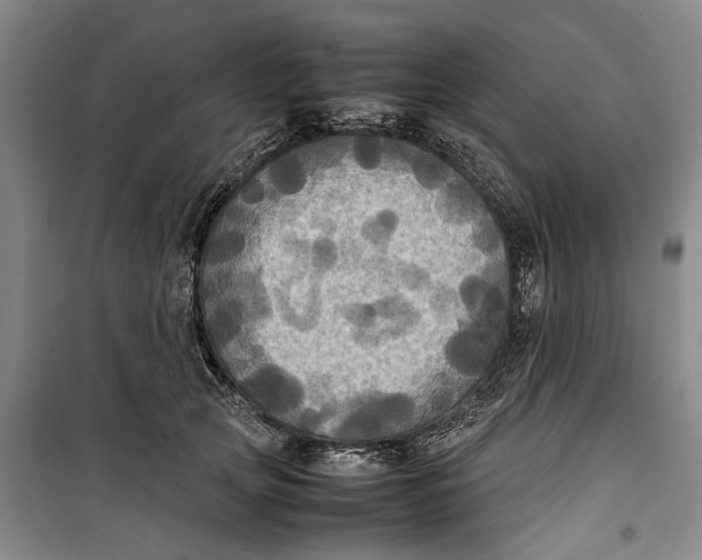 X0000099410753200805301345