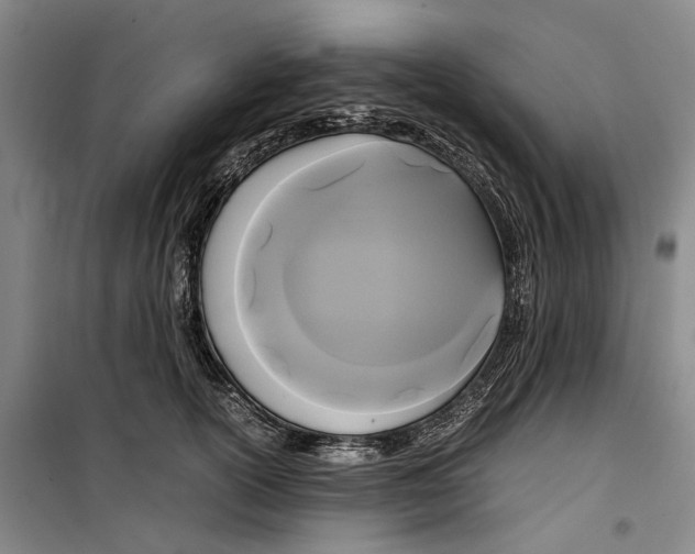 X0000099410754200805301345