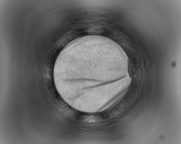 X0000099410755200805301345