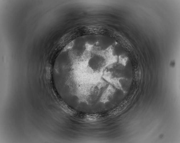 X0000099410757200805301345