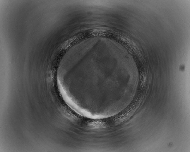 X0000099410759200805301345