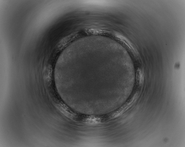 X0000099410760200805301345