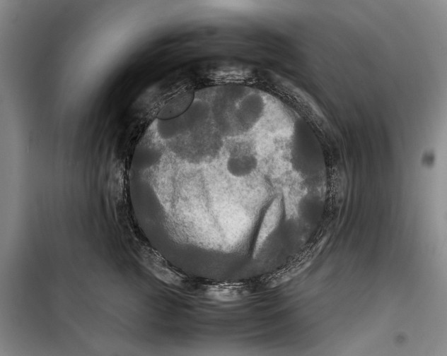 X0000099410761200805301345