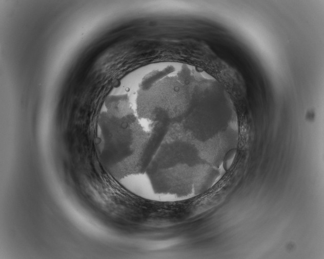 X0000099410765200805301345