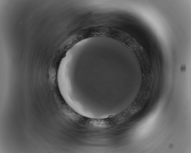 X0000099410767200805301345