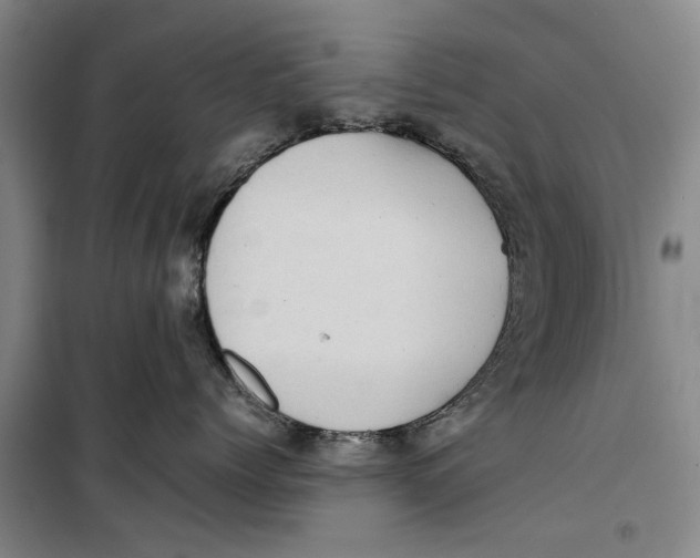 X0000099410768200805301345