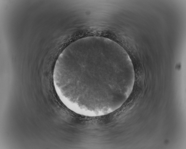 X0000099410769200805301345