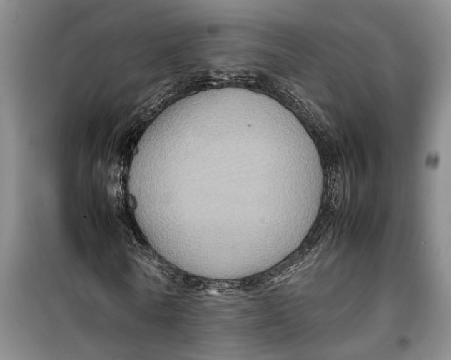 X0000099410770200805301345