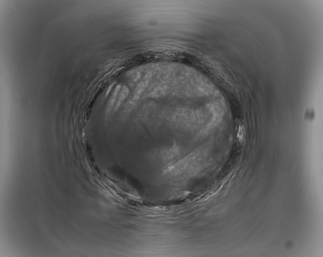 X0000099410771200805301345