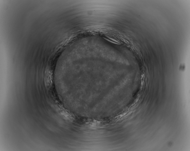 X0000099410772200805301345