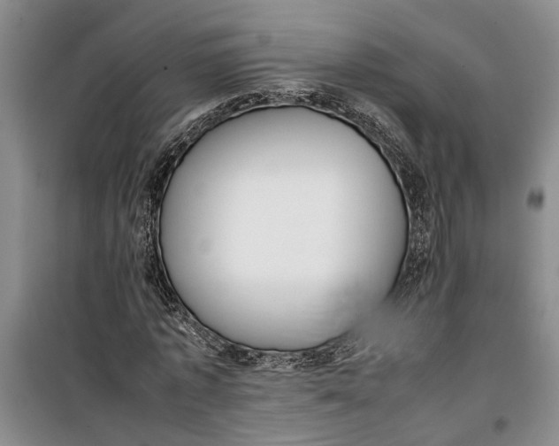 X0000099410773200805301345