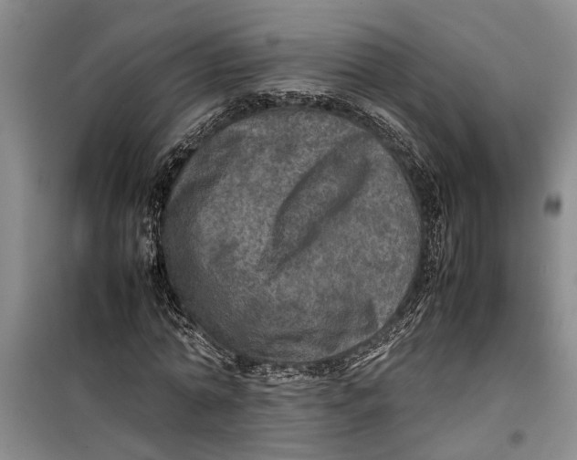 X0000099410774200805301345