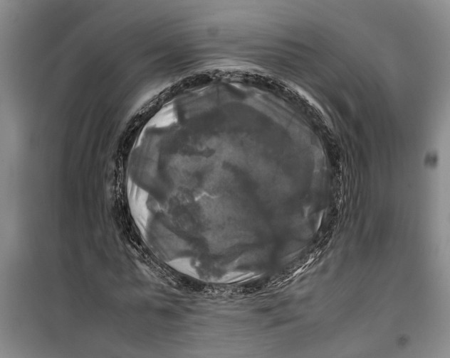 X0000099410775200805301345