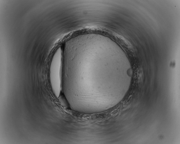 X0000099410776200805301345