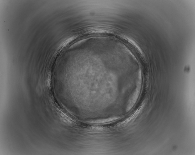 X0000099410777200805301345