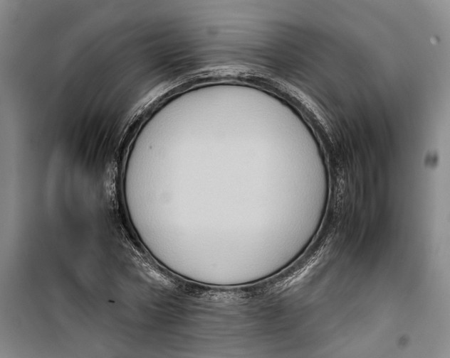 X0000099410778200805301345