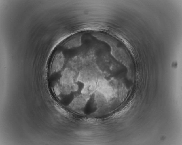 X0000099410779200805301345