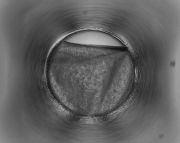 X0000099410780200805301345