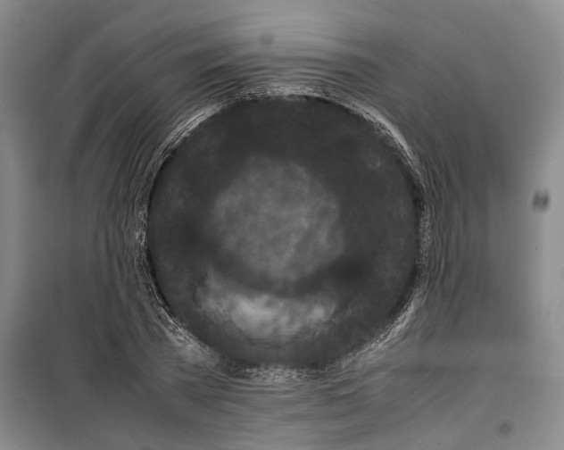 X0000099410785200805301344