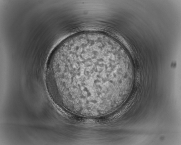 X0000099410787200805301344