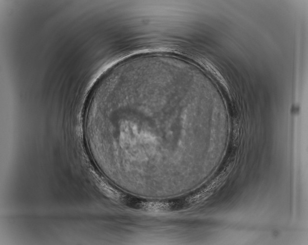 X0000099410789200805301344