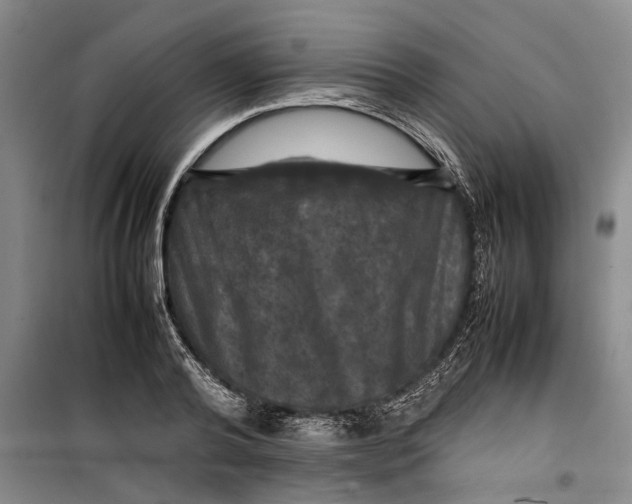 X0000099410792200805301344