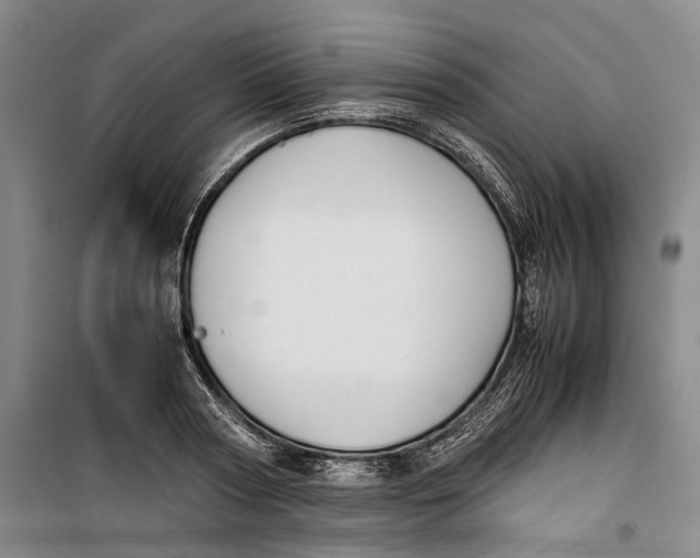 X0000099410794200805301344