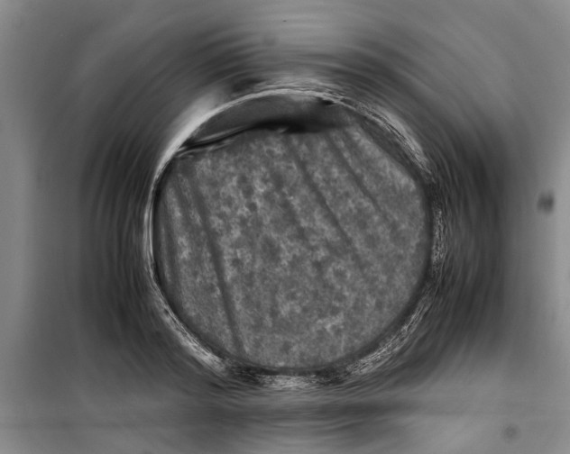 X0000099410796200805301344