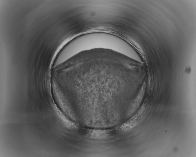 X0000099410800200805301344