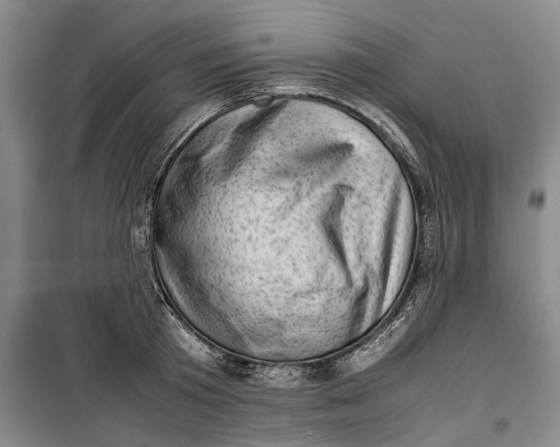 X0000099410801200805301344