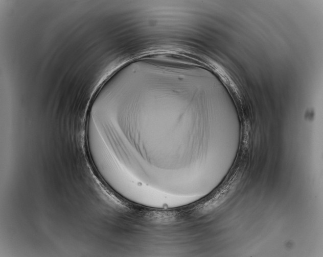 X0000099410802200805301344