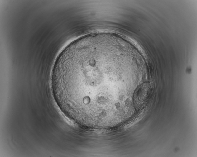 X0000099410803200805301344