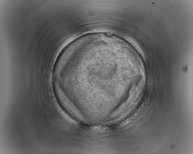 X0000099410805200805301344