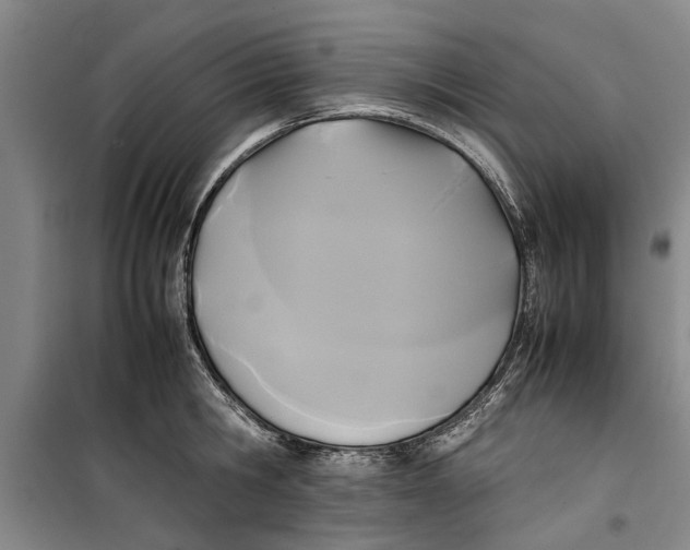 X0000099410806200805301344