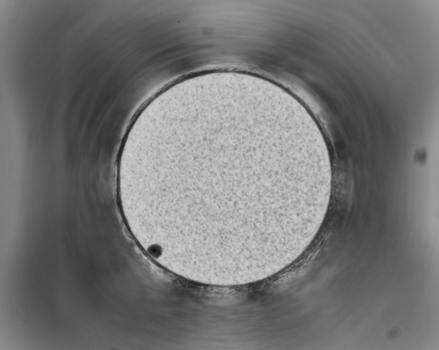 X0000099410807200805301344