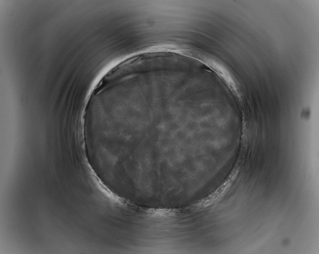 X0000099410808200805301344