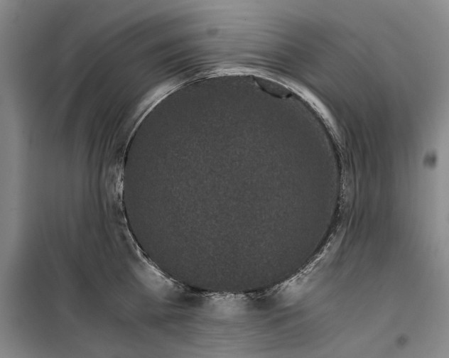 X0000099410809200805301344